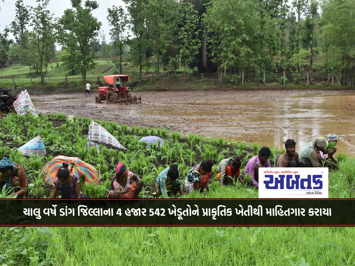 This Year 4 Thousand 542 Farmers Of Dang District Were Informed About Natural Farming