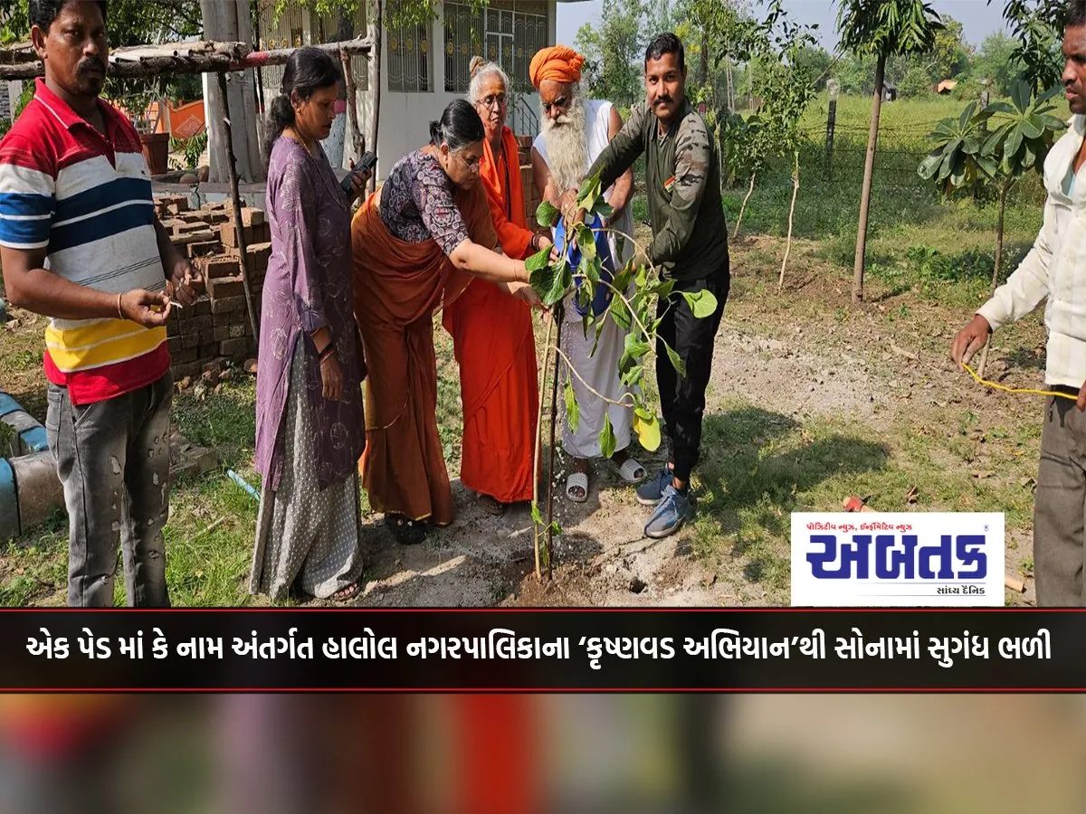 In One Pad Or Under The Name Halol Municipality'S 'Krishnavad Abhiyan' Mixed Fragrance With Gold