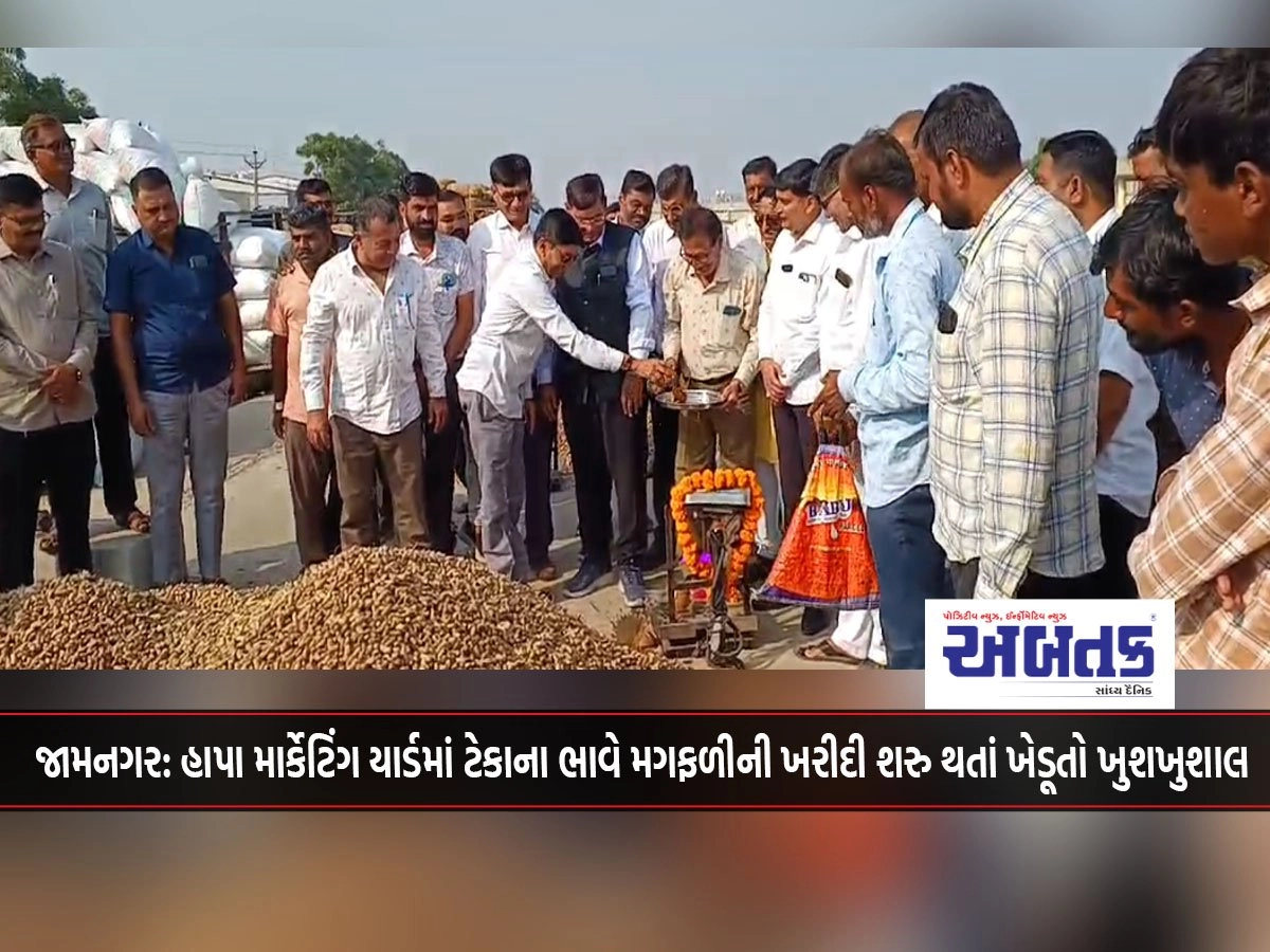 Jamnagar: Farmers happy as purchase of groundnut at support price started in Hapa Marketing Yard