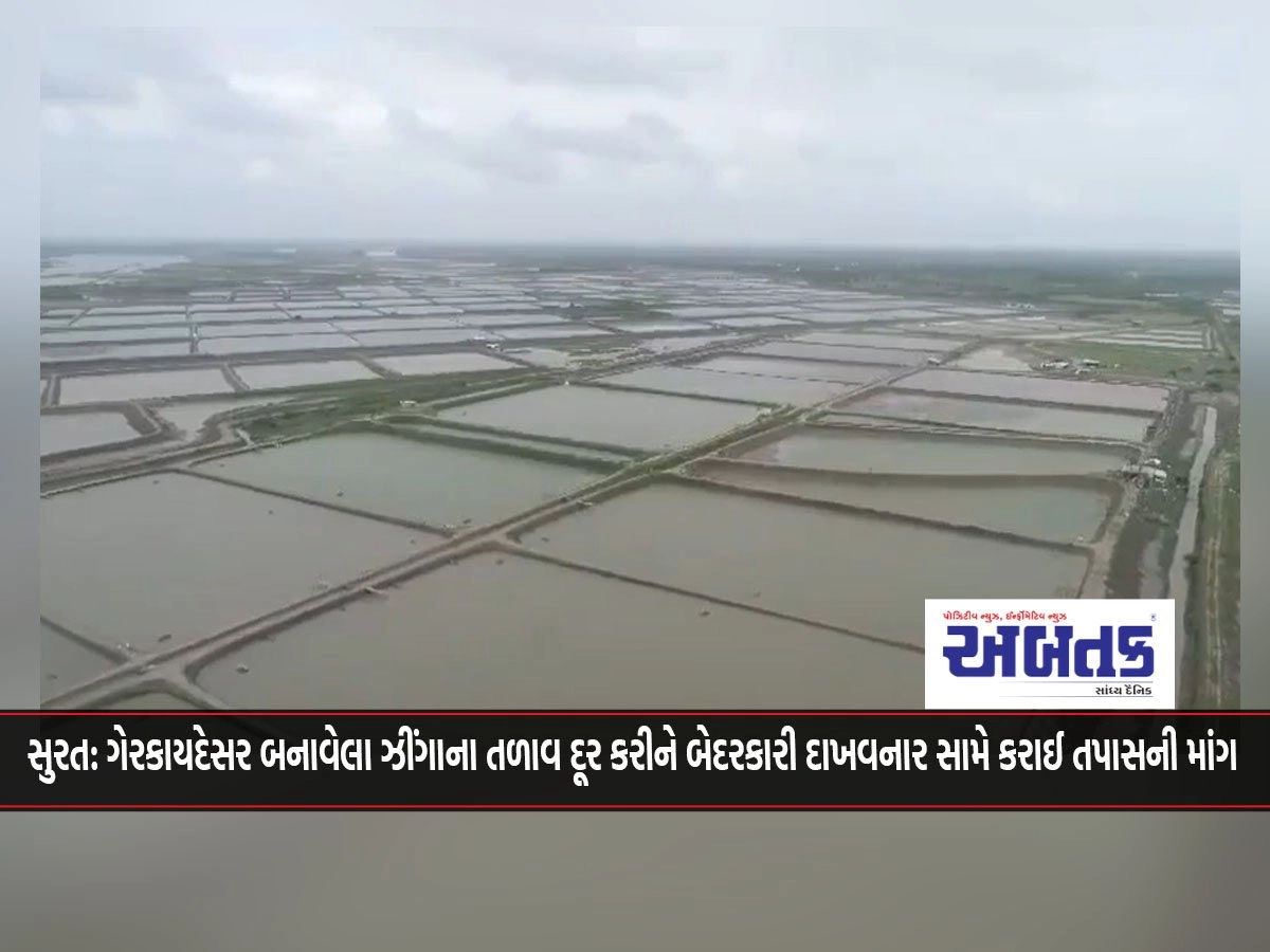 Surat: Demand for investigation against those who showed negligence by removing illegal shrimp ponds