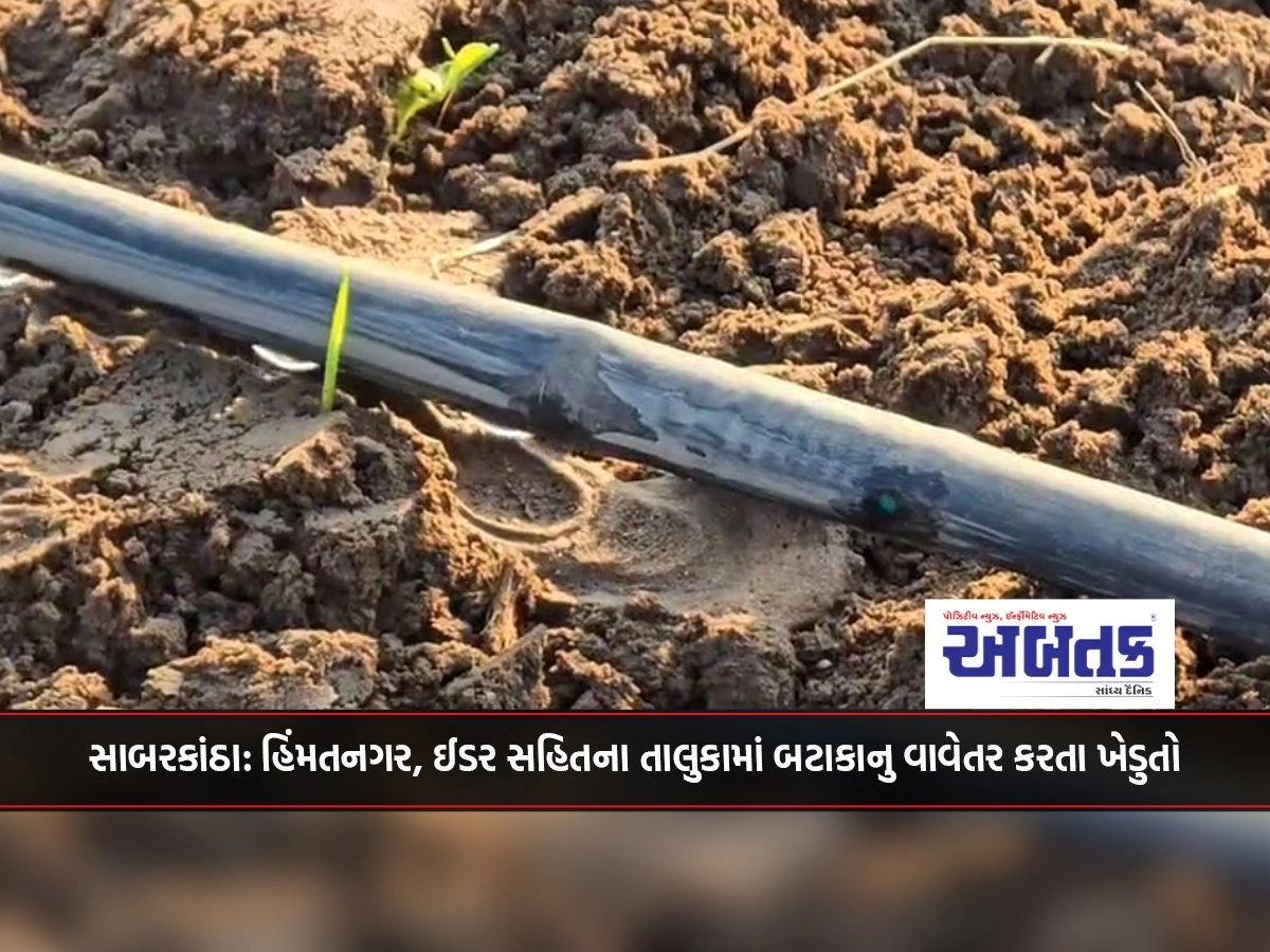 Sabarkantha: Farmers planting potatoes in Himmatnagar, Idar and other talukas