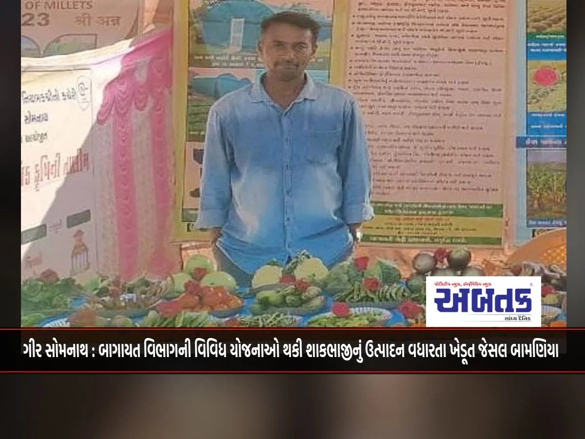 Gir Somnath: Farmer Jaisal Bamania Increasing Vegetable Production Through Various Schemes Of The Horticulture Department