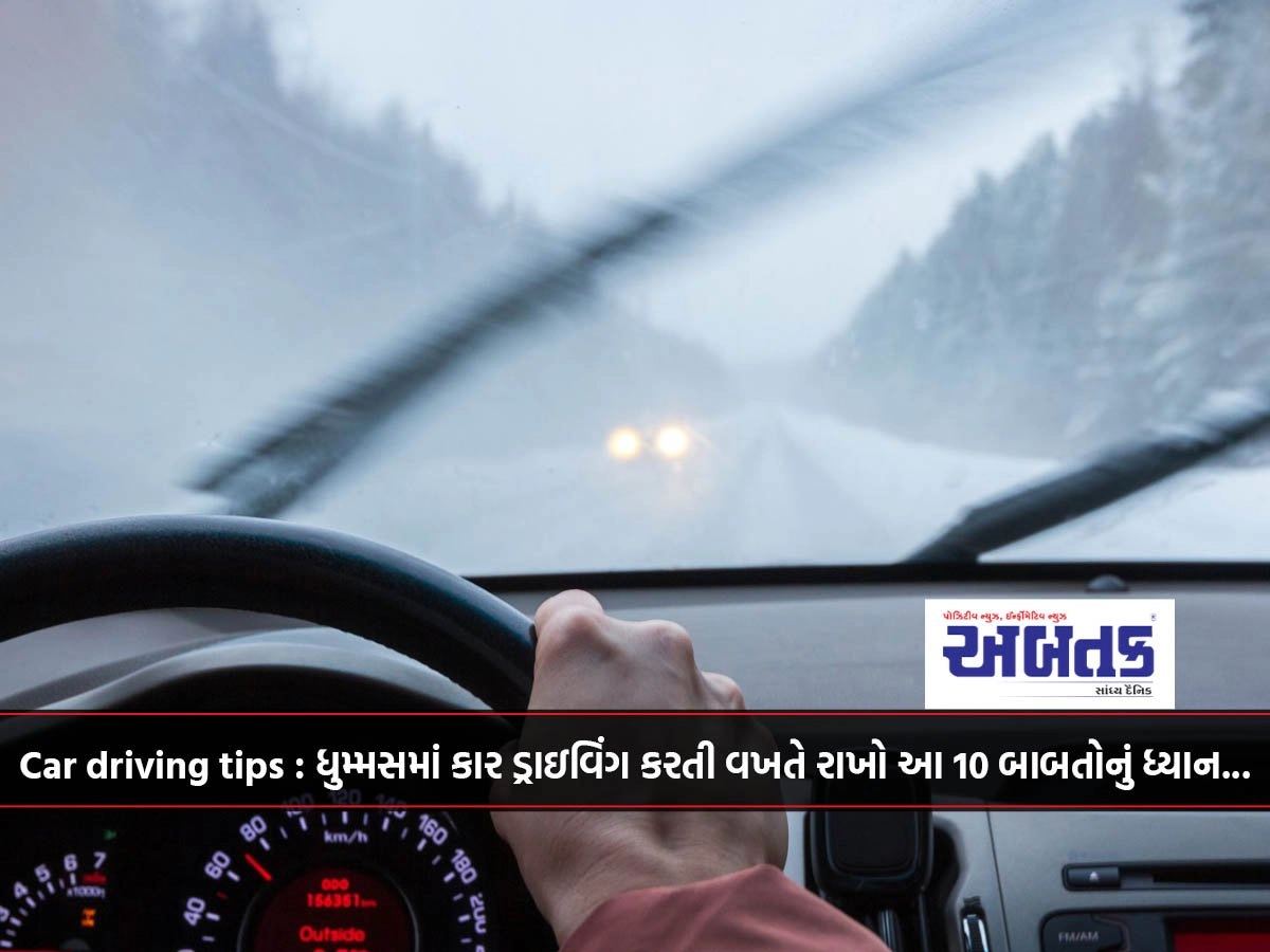 Car Driving Tips : ધુમ્મસમાં કાર ડ્રાઇવિંગ કરતી વખતે રાખો આ 10 બાબતોનું ધ્યાન...