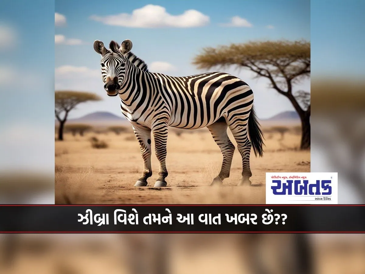 Did You Know This About Zebras?