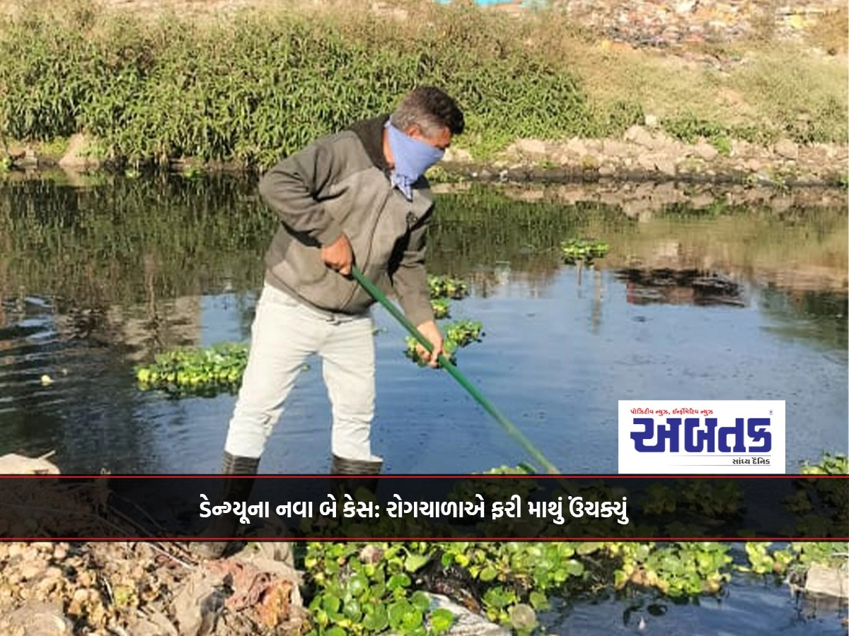 Two New Cases Of Dengue: The Epidemic Rears Its Head Again