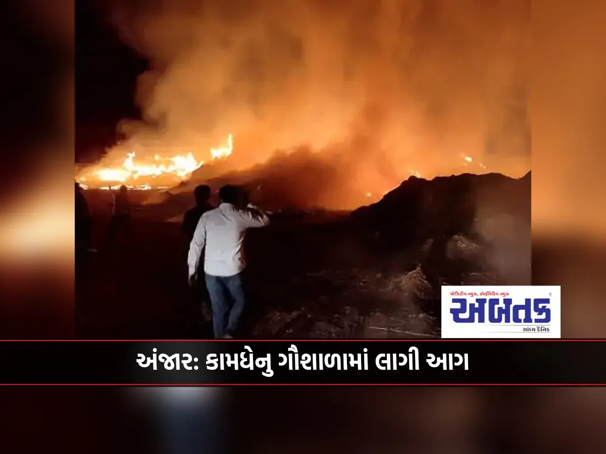 Anjar: Fire breaks out in Kamdhenu Gaushala...