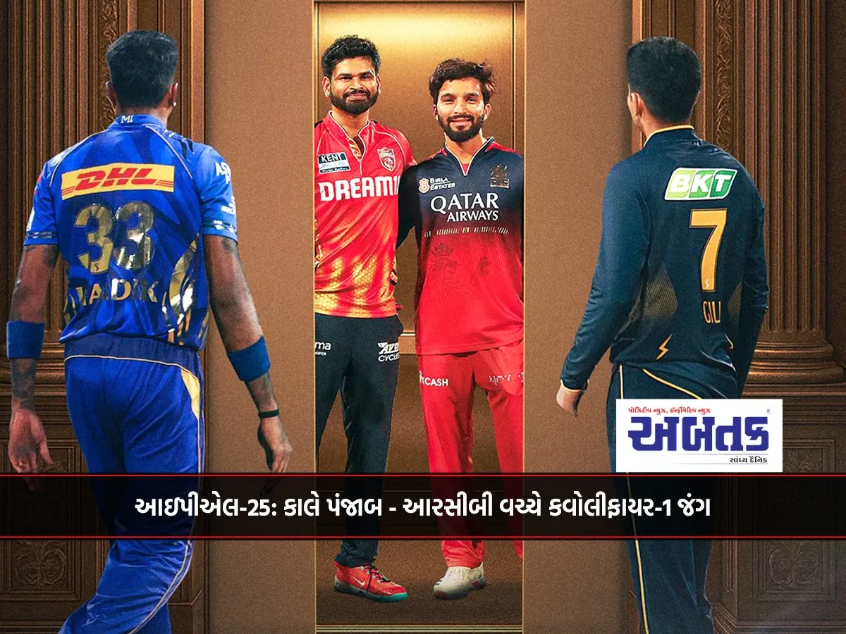 Ipl-25: Qualifier-1 Battle Between Punjab And Rcb Tomorrow