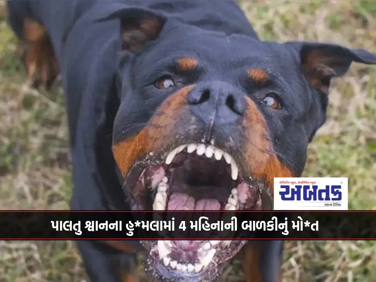 4-Month-Old Baby Girl Dies In Pet Dog Attack