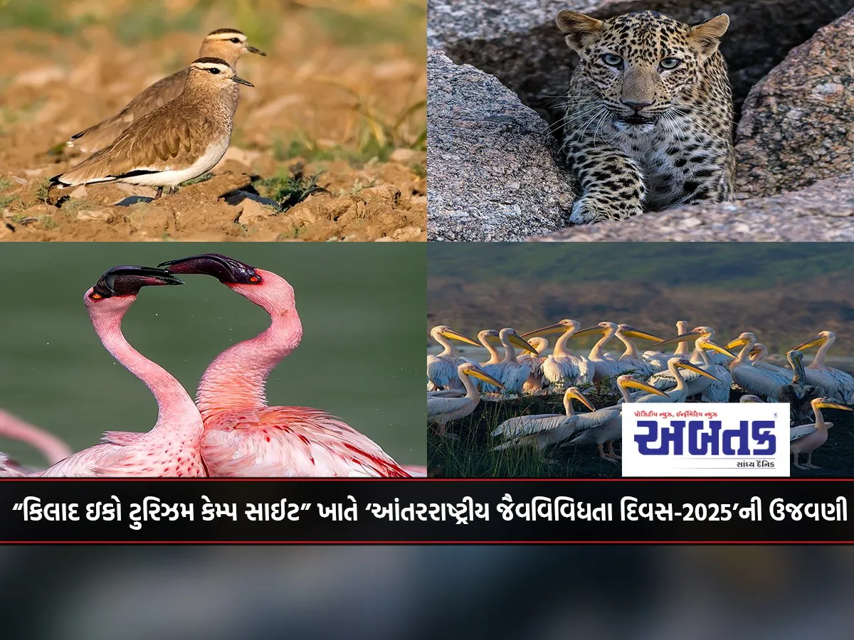 Celebration Of ‘International Biodiversity Day-2025’ At “Kilad Eco Tourism Campsite”