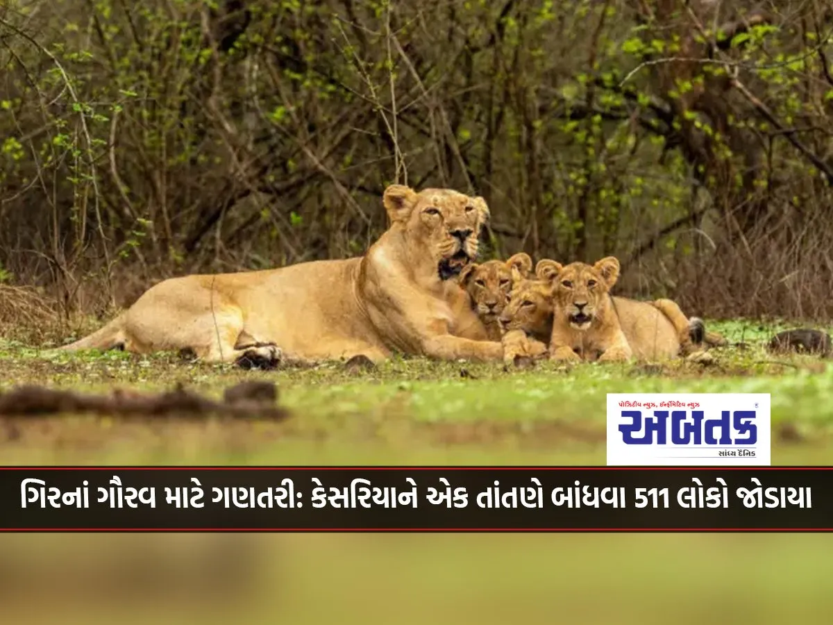 Counting For The Glory Of Gir 511 People Joined Hands To Tie Saffron In One Thread