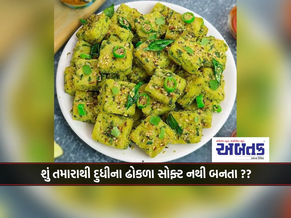 Now The Milky Dhokla Will Become Soft Like Cotton... Know This Special Trick!