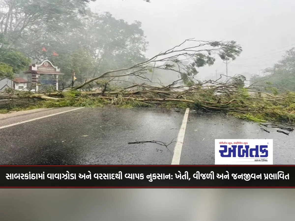 Extensive Damage Due To Storm And Rain In Sabarkantha Agriculture, Electricity And Public Life Affected
