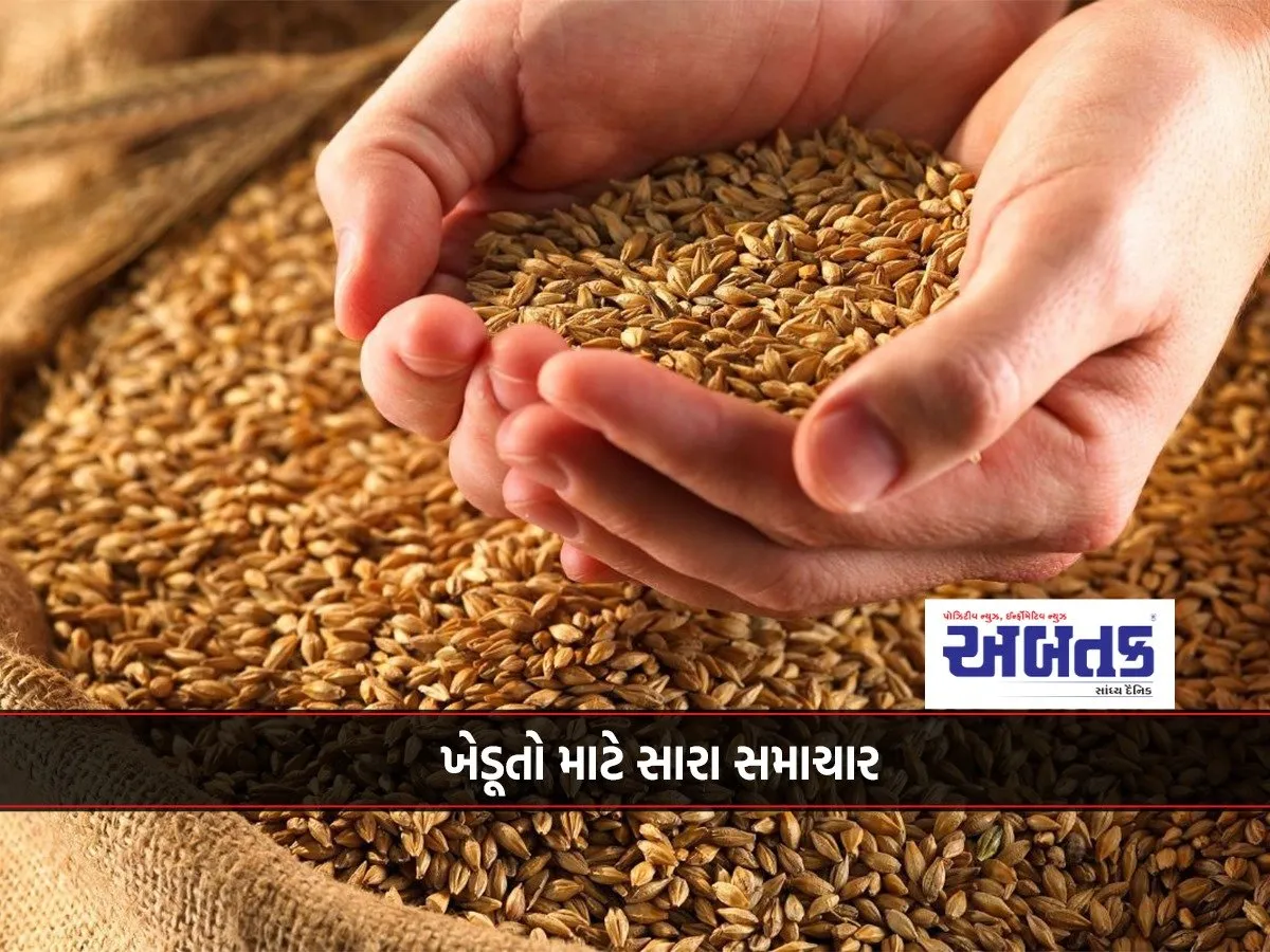 The State Government Will Give A Bonus In The Purchase Of Wheat At Support Price