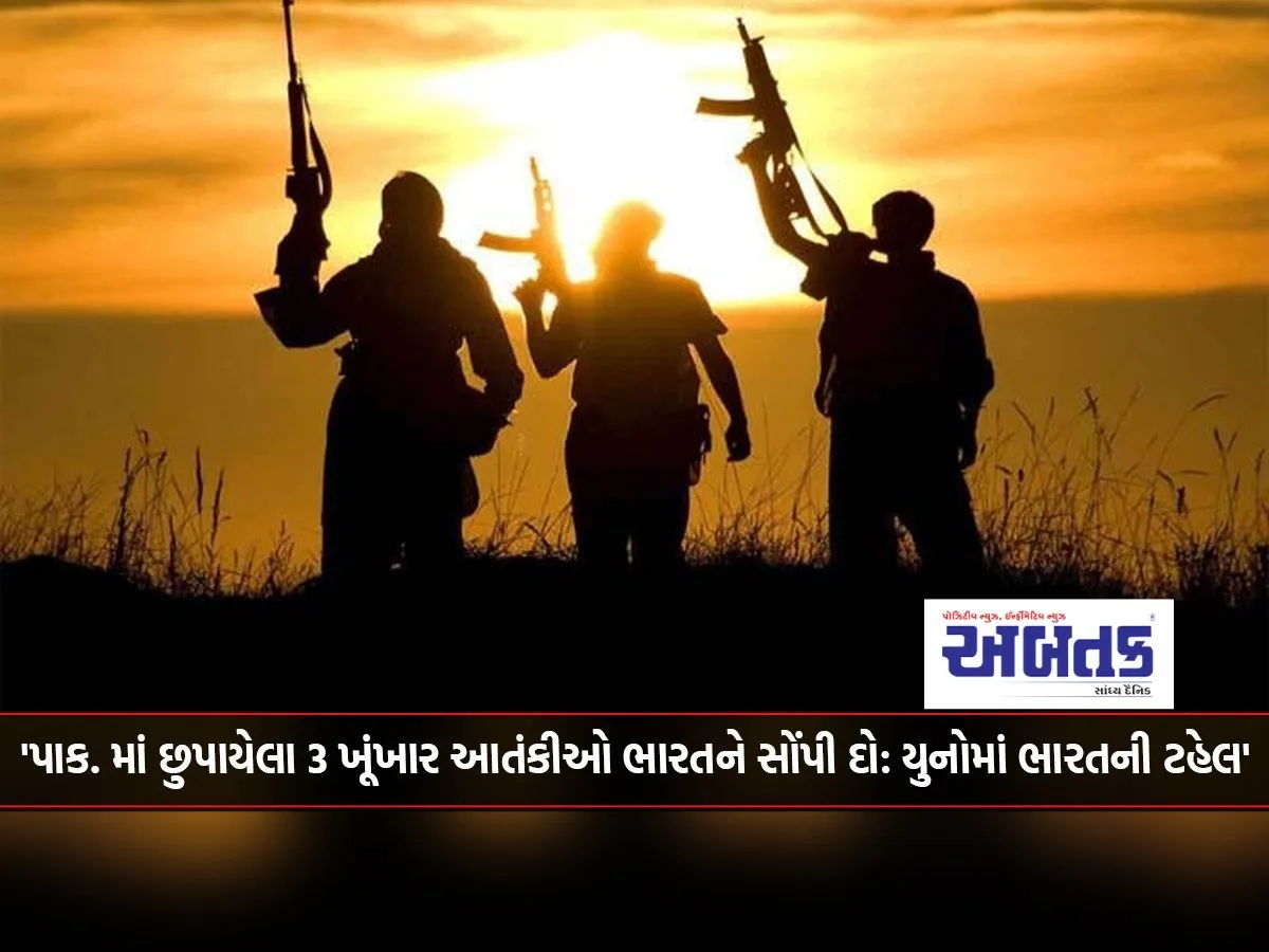 'Hand Over 3 Deadly Terrorists Hiding In Pak To India India'S Plea At Un'