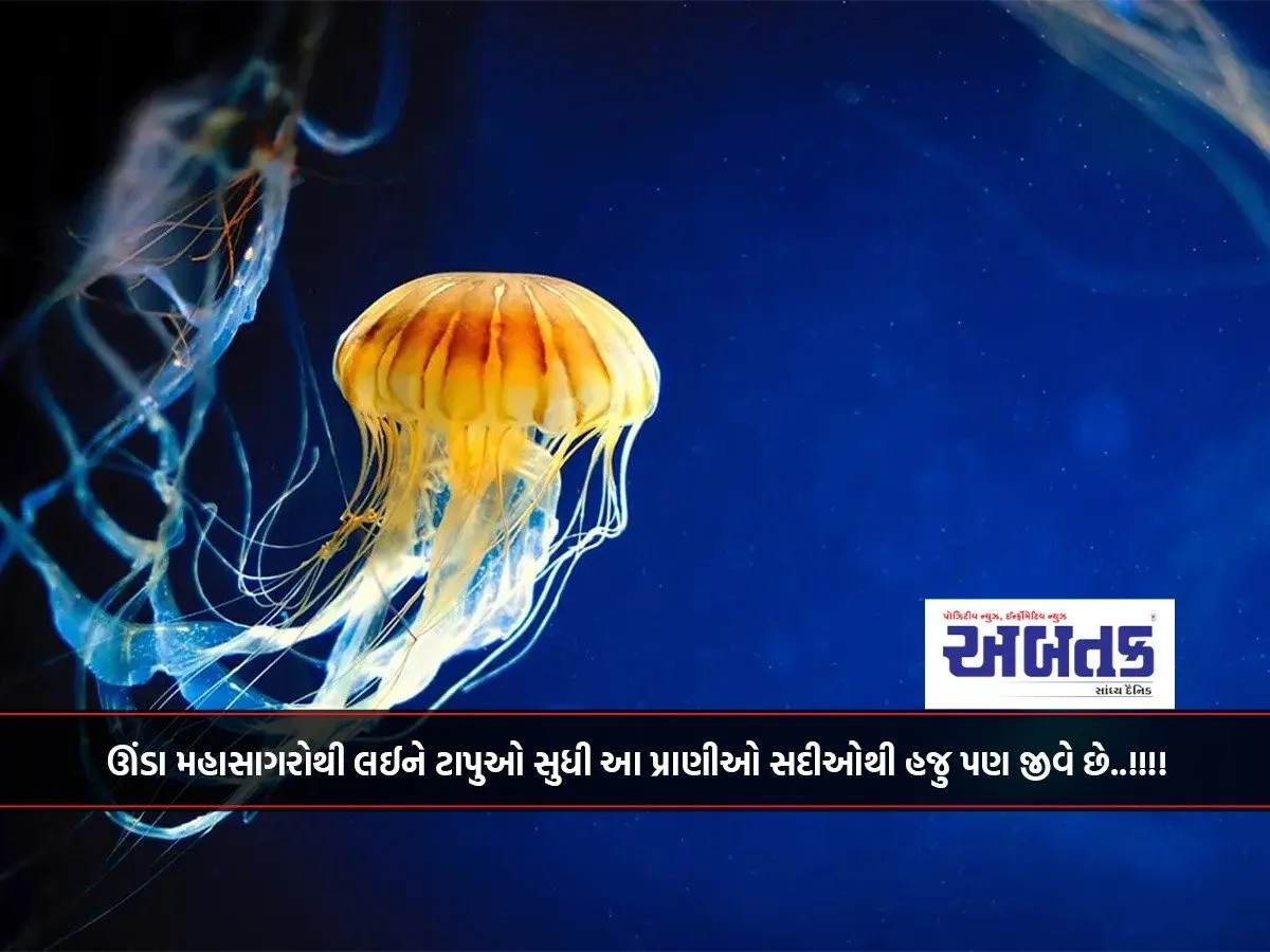 From The Deep Oceans To The Islands, These Animals Have Been Living For Centuries..!!!!