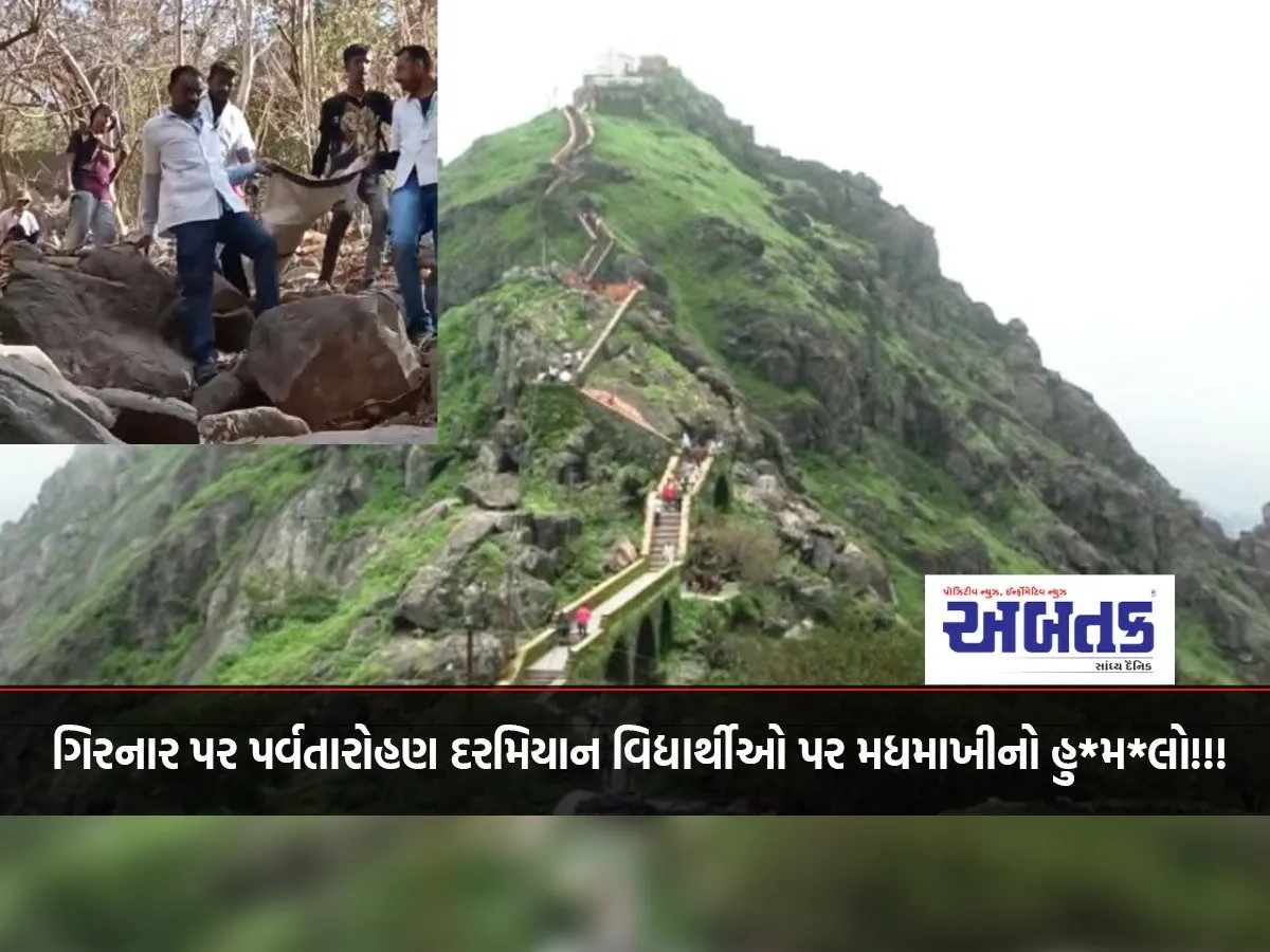 Bee Attack On Students During Mountaineering At Girnar!!!