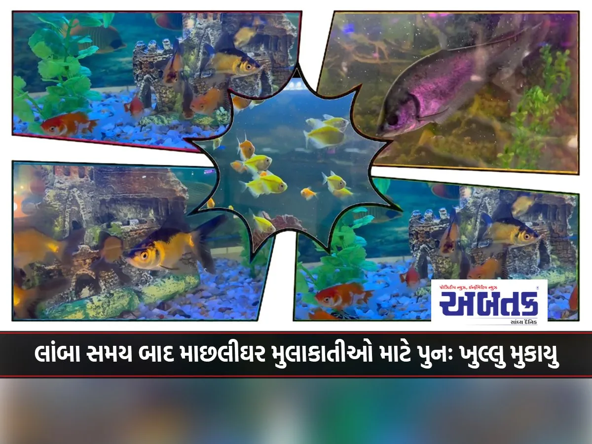 Jamnagar Aquarium Reopens For Visitors After A Long Time