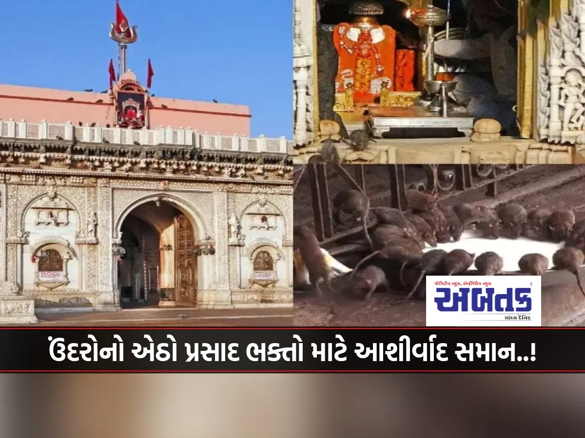 Pm Modi Will Visit Karni Mata; Know The History Of The Mysterious Temple