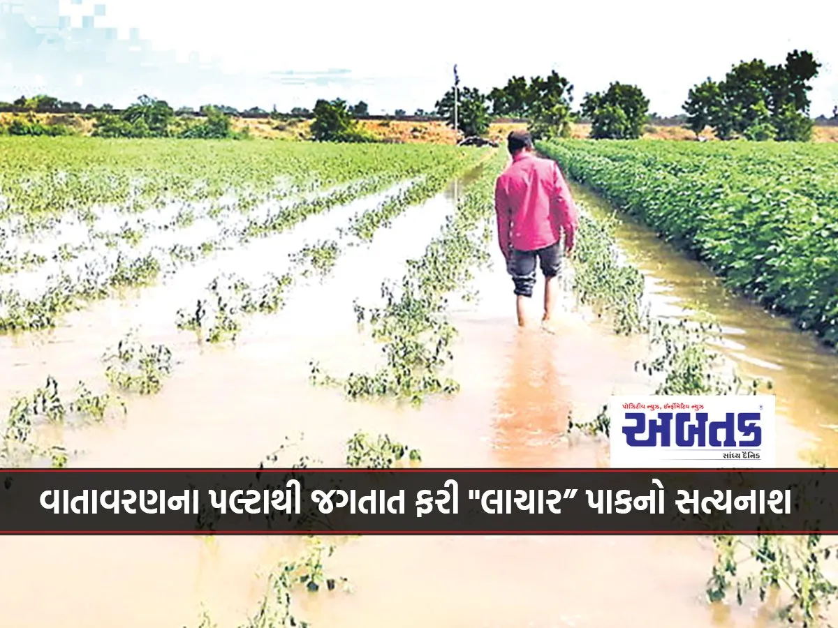 Climate Change Threatens To Destroy &Quot;Helpless&Quot; Crops Worldwide Again