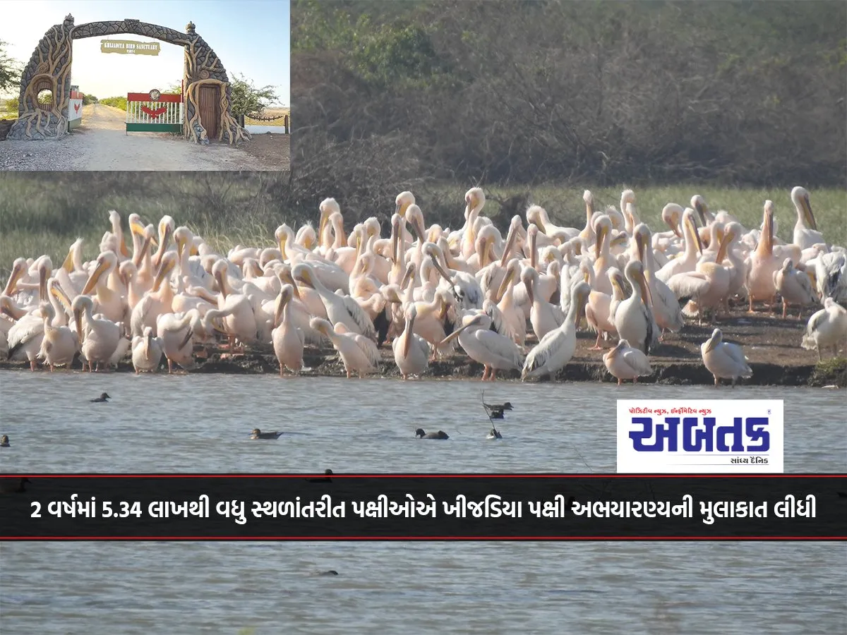 Over 5.34 Lakh Migratory Birds Visited Khijdia Bird Sanctuary In 2 Years