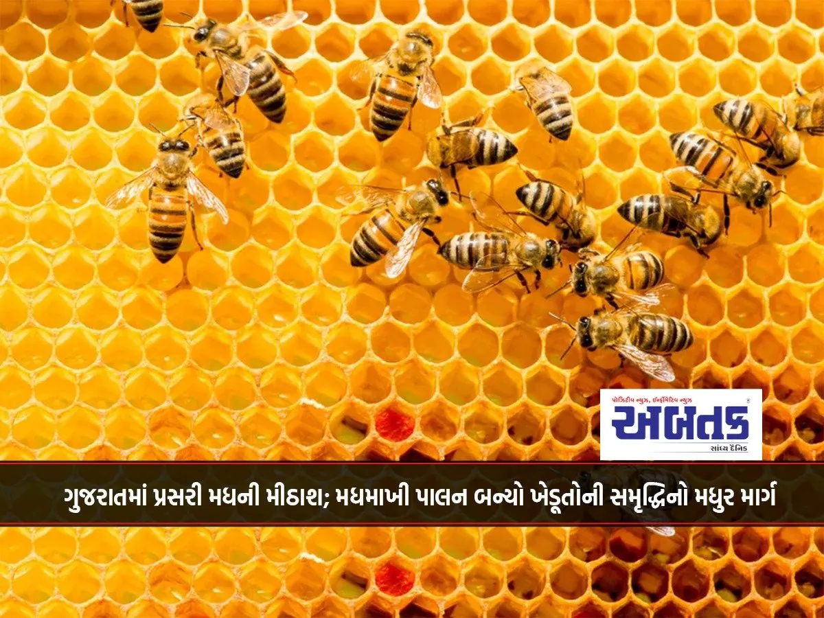 The Sweetness Of Honey Spread In Gujarat; Beekeeping Has Become A Sweet Path To Prosperity For Farmers