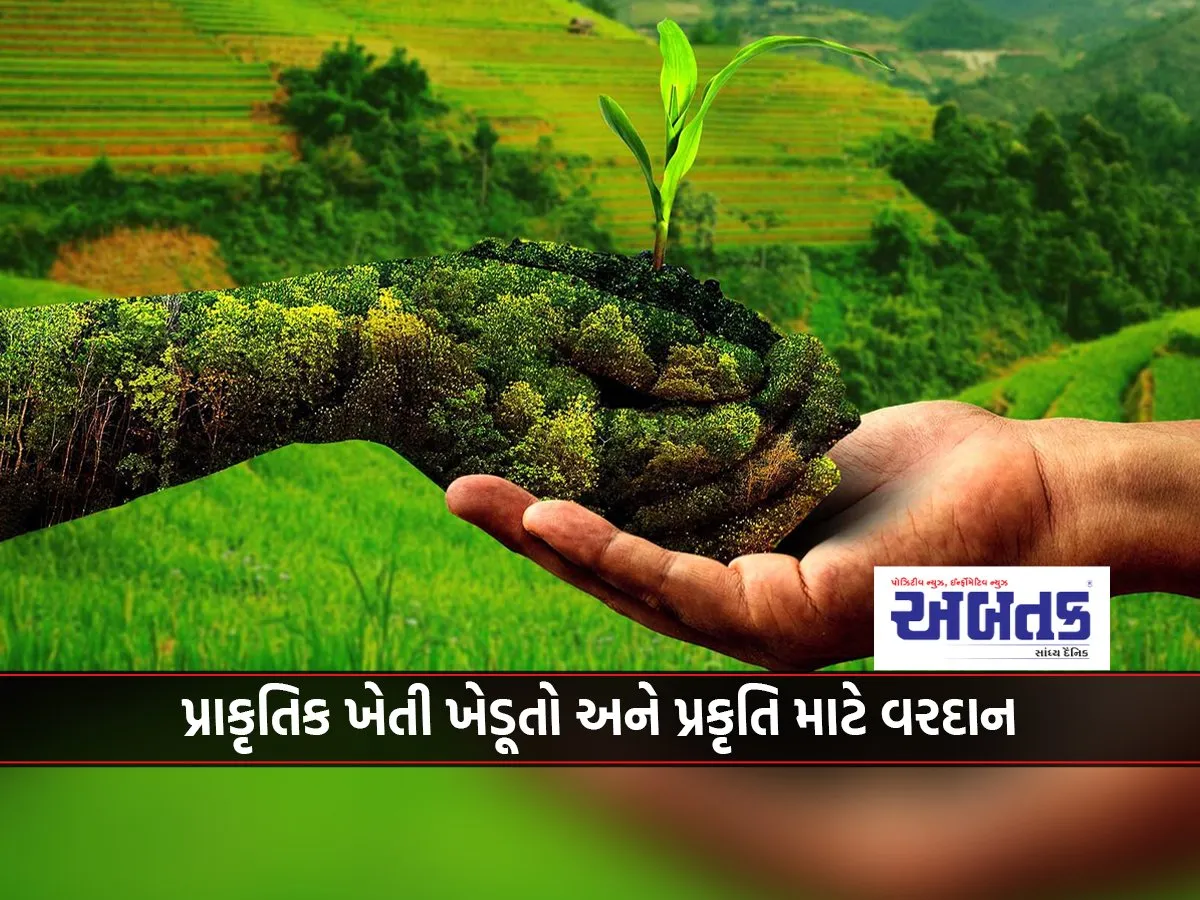 Natural Farming Is A Boon For Farmers And Nature