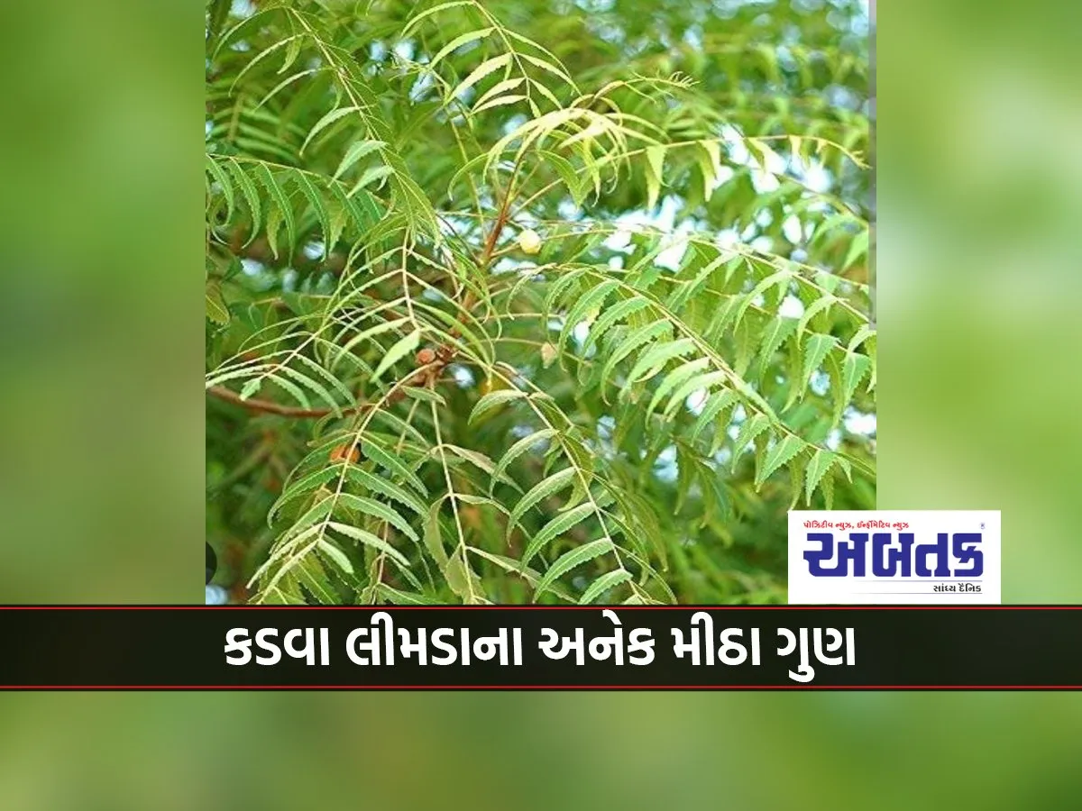 Neem With Various Ingredients An Important Factor In Natural Farming In The Coming Times