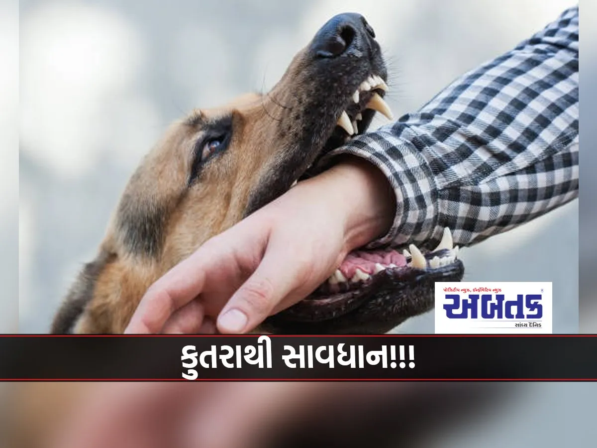 Owner Who 'Kills' Pet Dog Faces Four Months In Jail