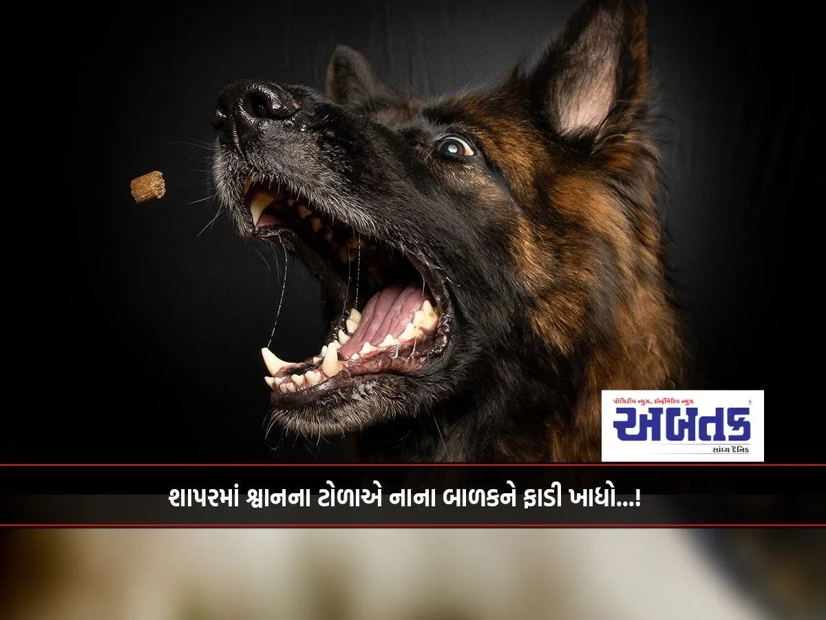 A Pack Of Dogs Tore Apart A Small Child In A Supermarket...!