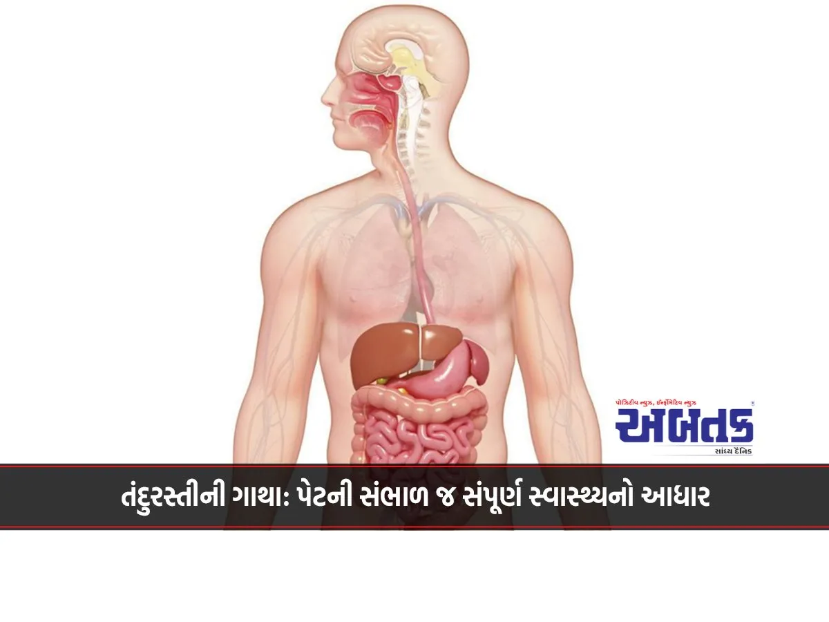 Health Saga: Stomach Care Is The Basis Of Perfect Health