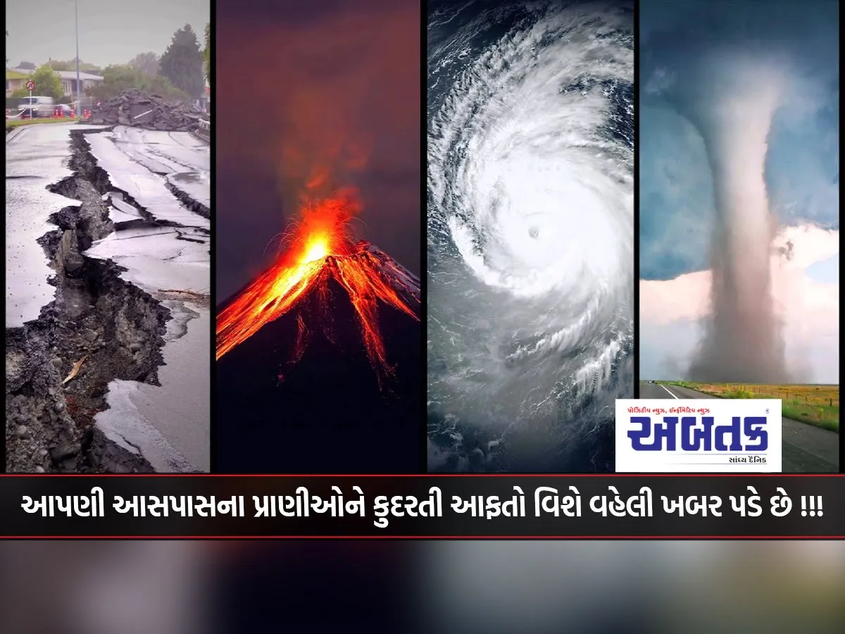 The Animals Around Us Know About Natural Disasters Early!!!