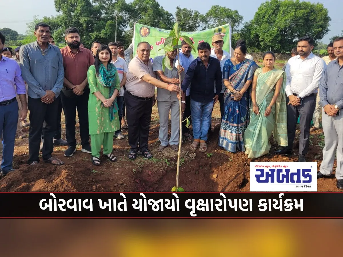 Tree Plantation Program Held At Borvav