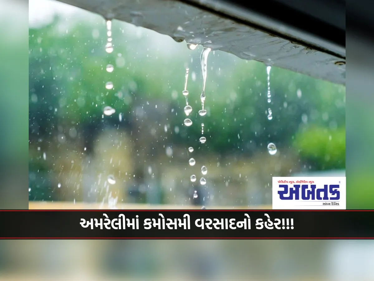 Unseasonal Rain Wreaks Havoc In Amreli!!!