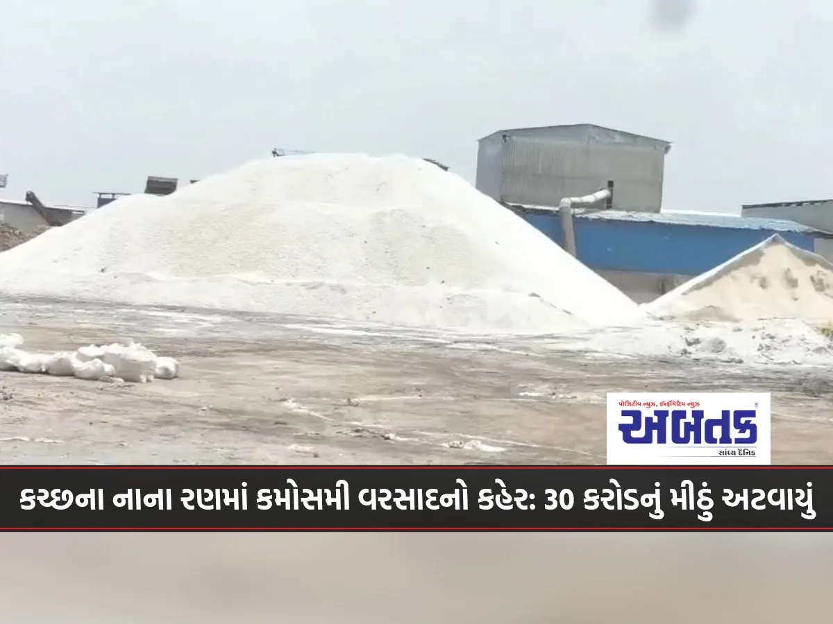 Unseasonal Rains Wreak Havoc In The Small Desert Of Kutch Salt Worth Rs 30 Crore Stuck