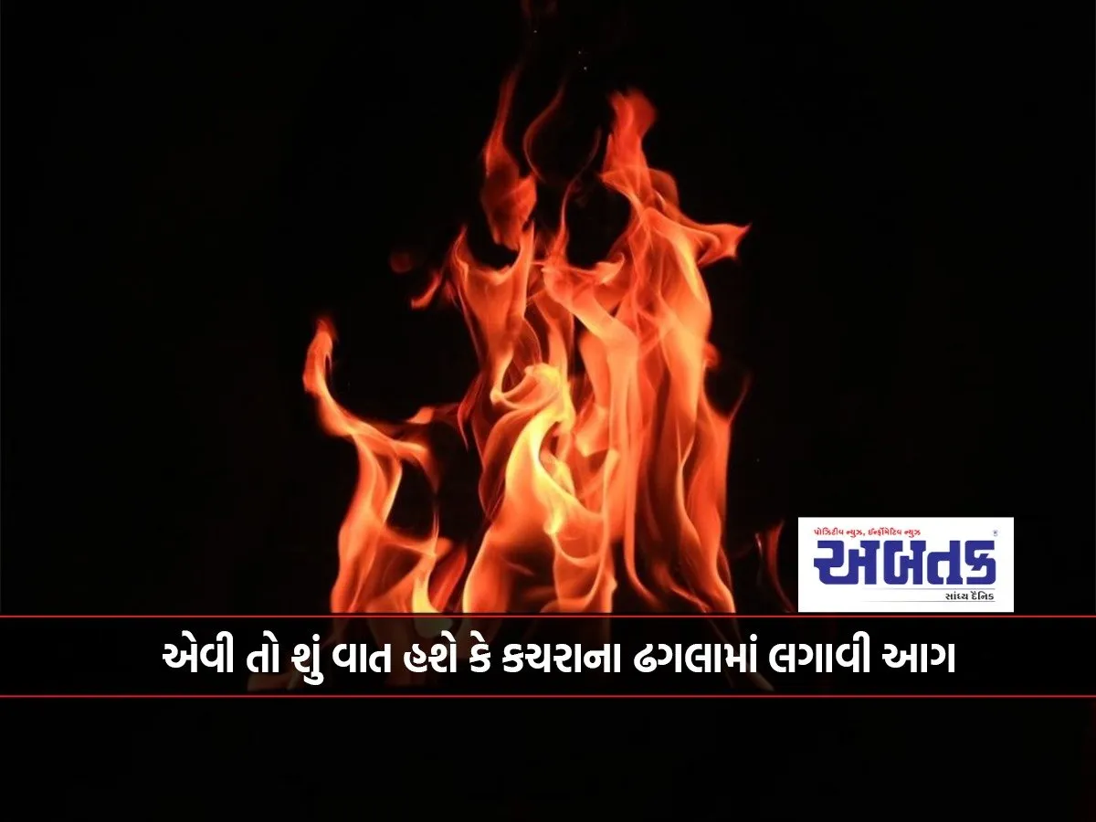 What Kind Of Thing Would It Be To Set Fire To A Pile Of Garbage...!!