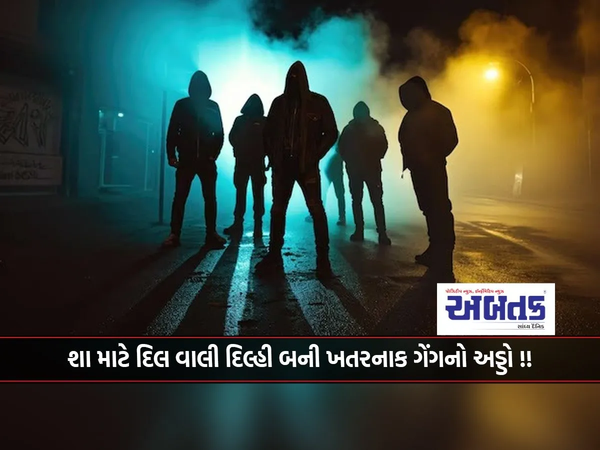 Why Dil Wali Delhi Has Become A Hub For Dangerous Gangs!!