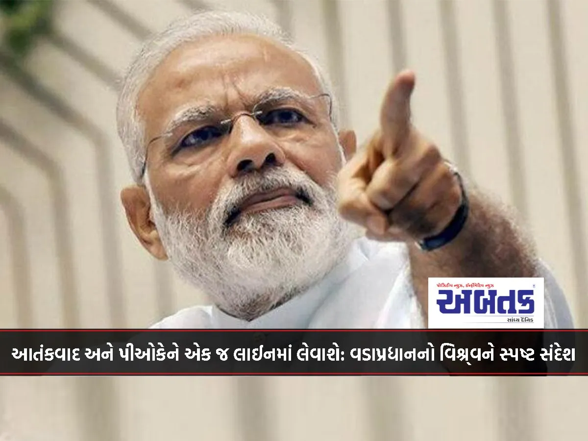 Terrorism And Pok Will Be Taken In The Same Line: Prime Minister'S Clear Message To The World