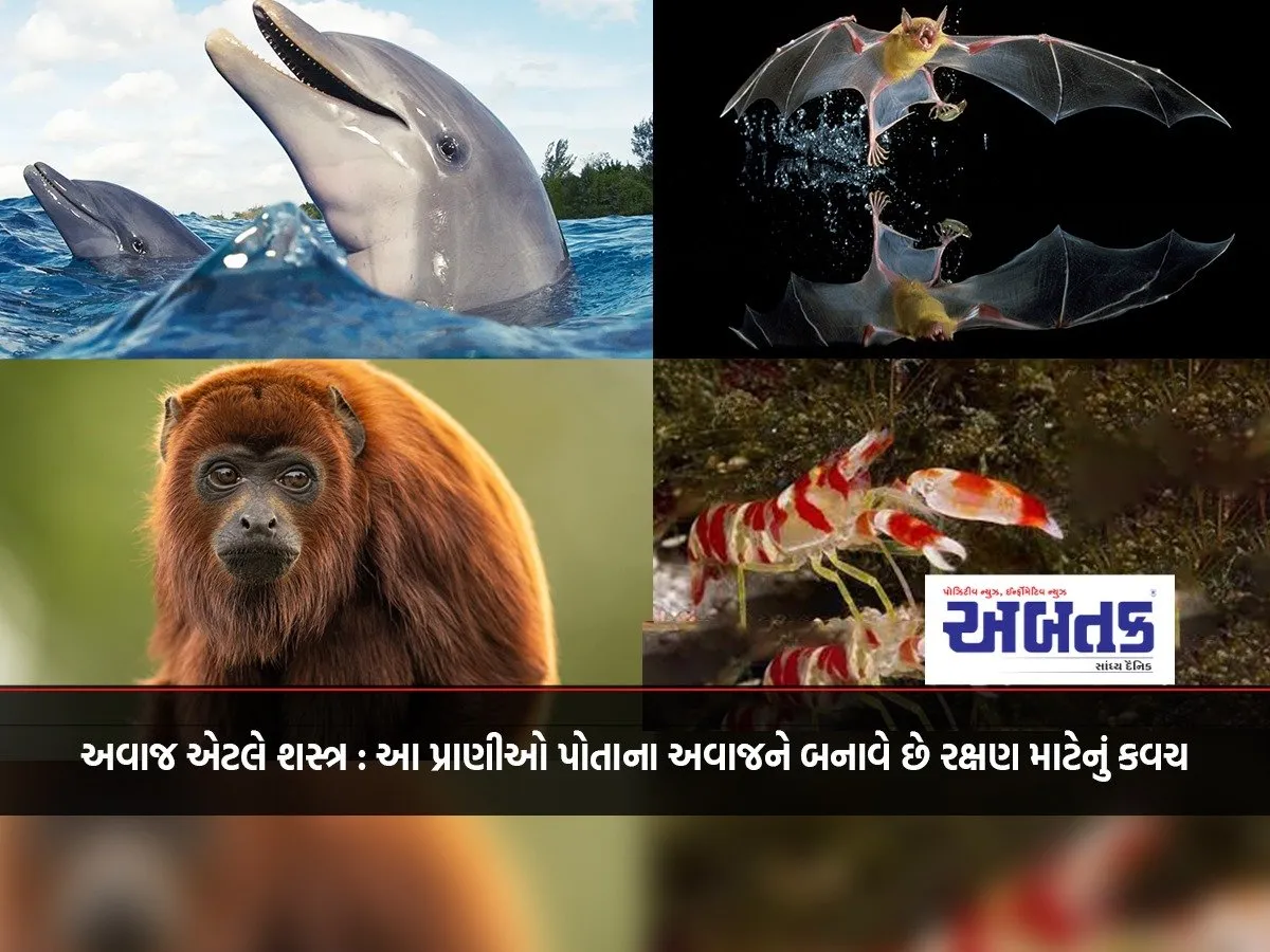 Voice Is A Weapon: These Animals Use Their Voices As A Shield For Protection