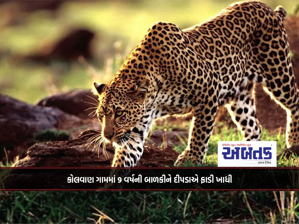 A 9-Year-Old Girl Was Torn Apart And Eaten By A Leopard In Kolwan Village...!