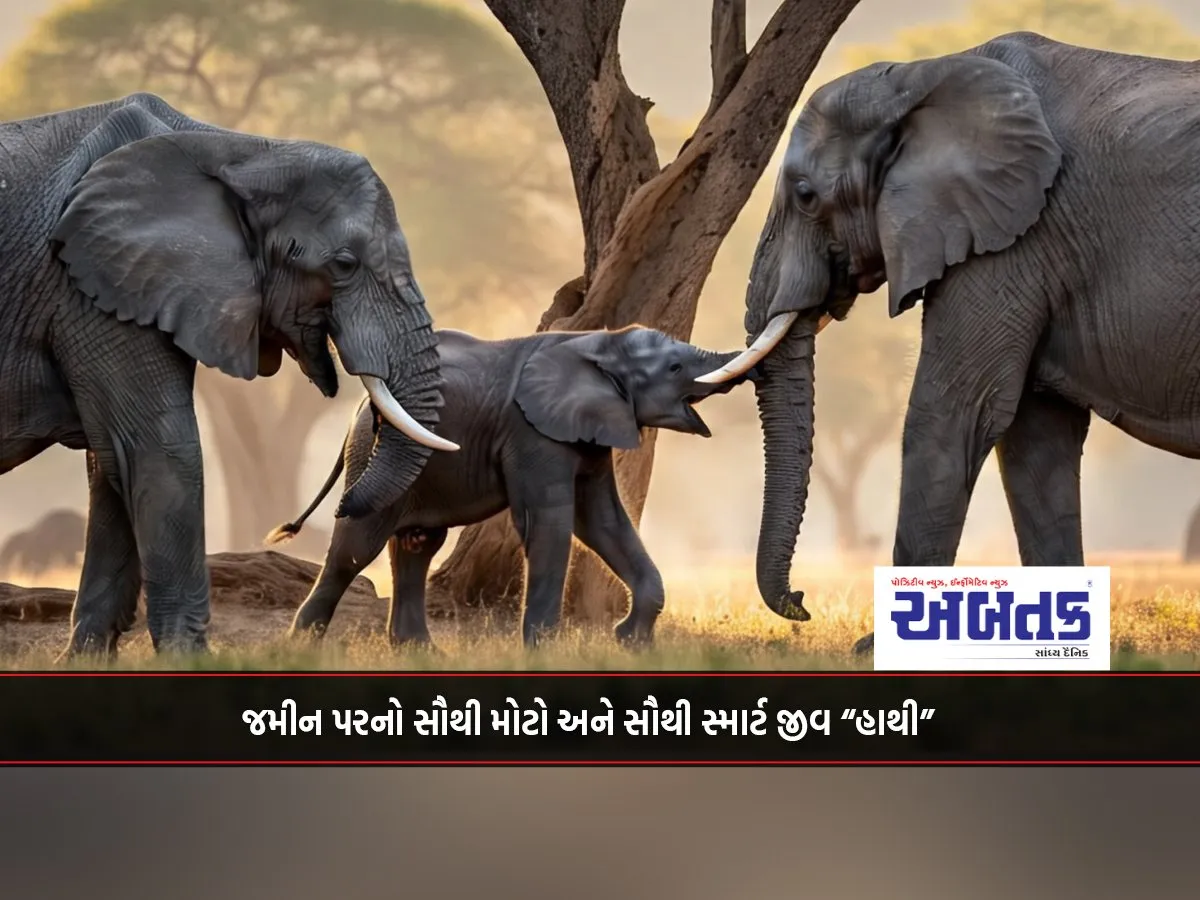 Amazing Facts About Elephants That Will Surprise You!!