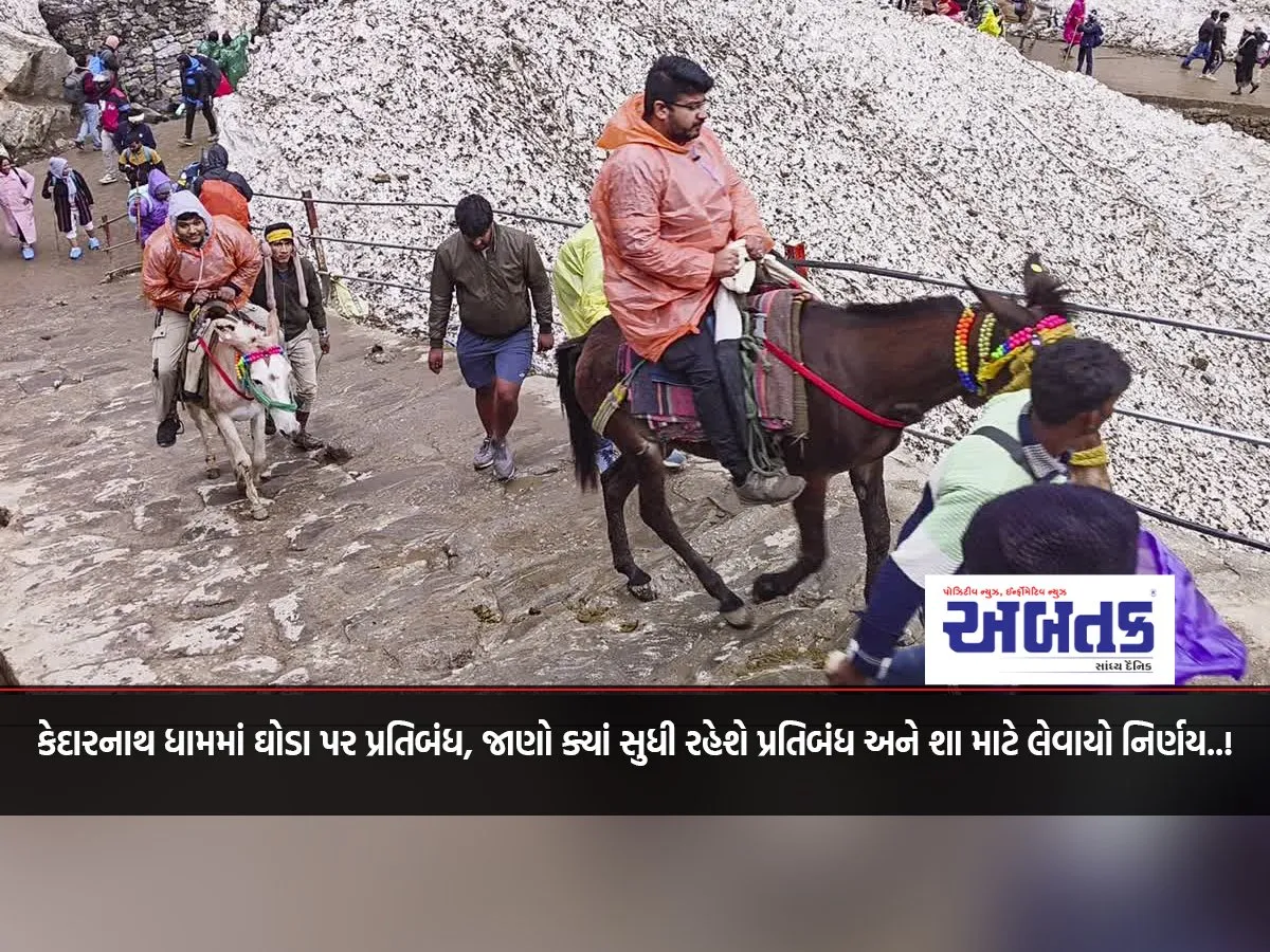 Ban On Horses In Kedarnath Dham, Know How Long The Ban Will Last And Why The Decision Was Taken..!