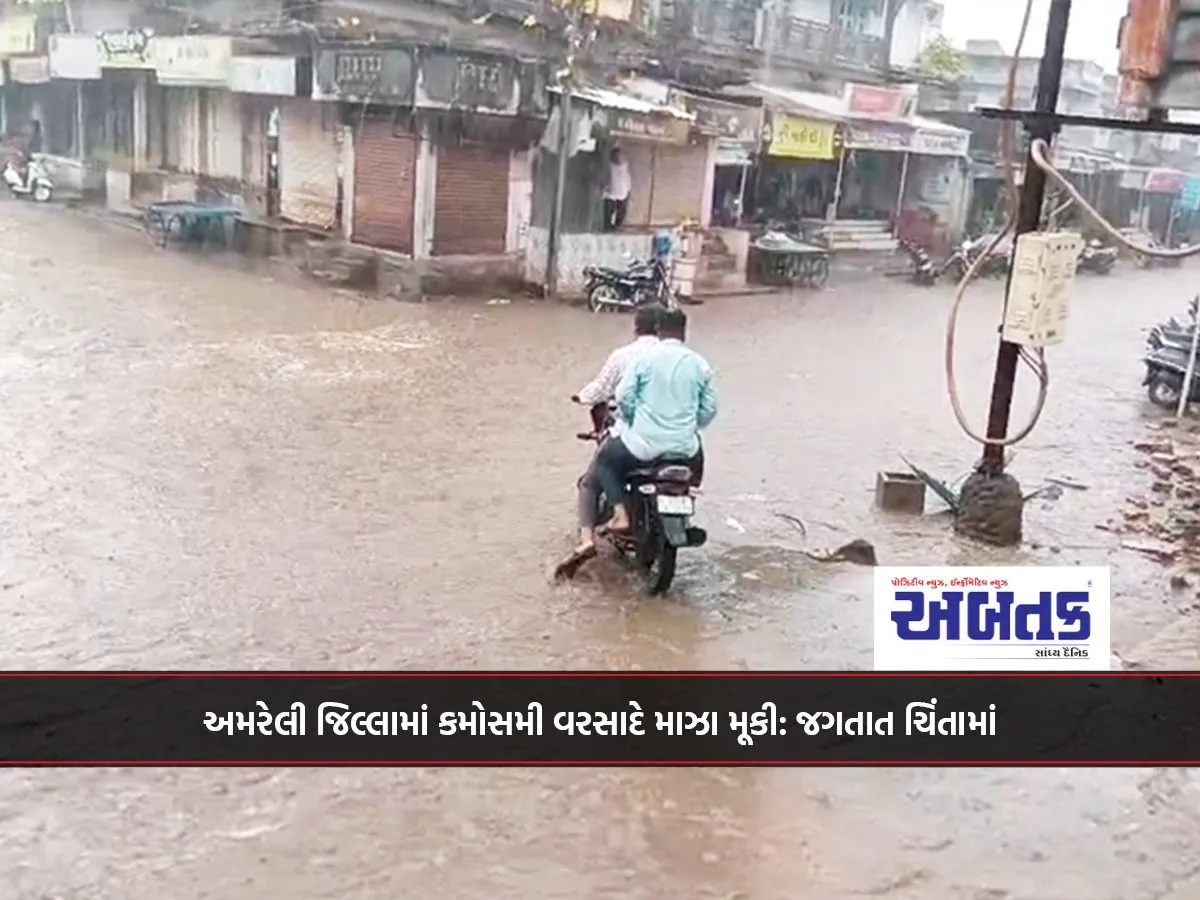 Unseasonal Rains Bring Joy To Amreli District: Jagatat Worried