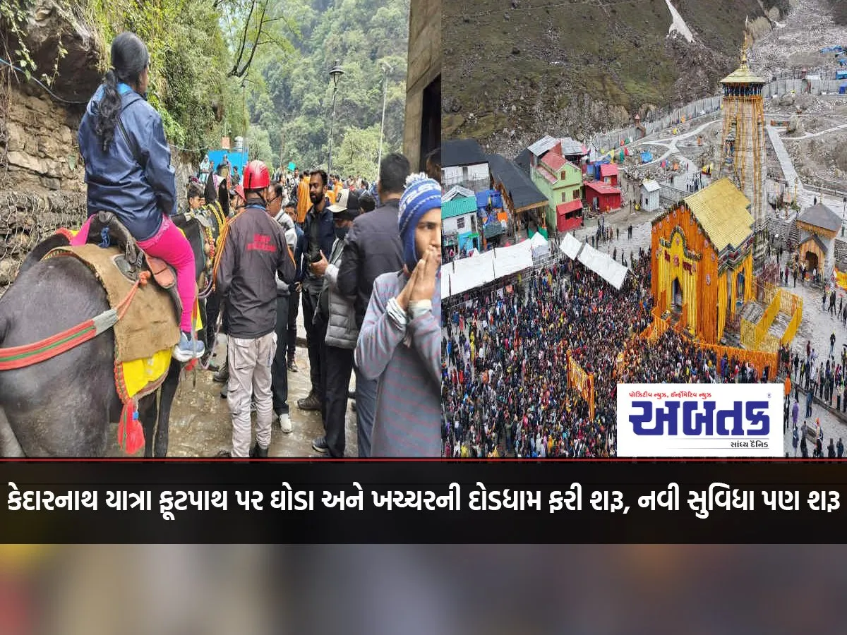 Horse And Mule Racing Resumes On Kedarnath Yatra Footpath, New Facilities Also Started