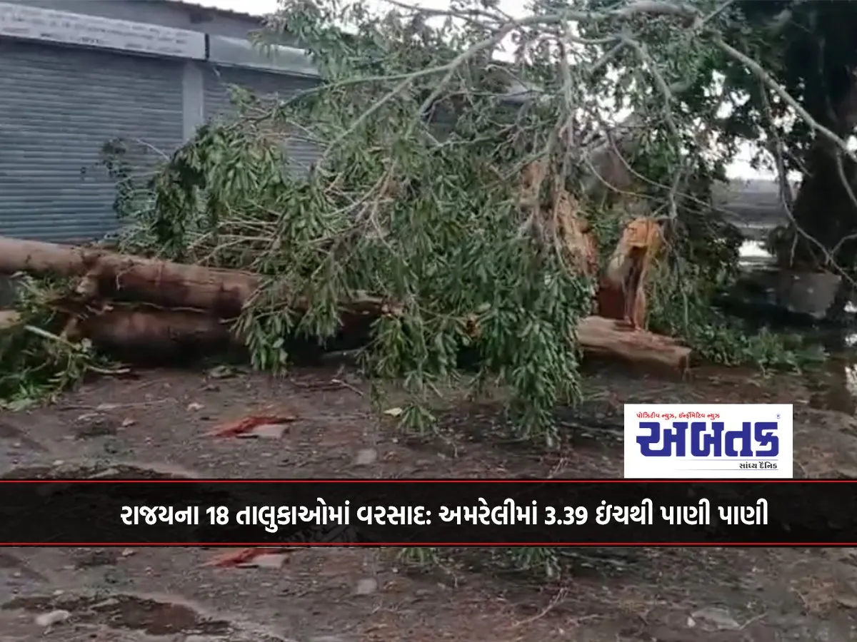 Rainfall In 18 Talukas Of The State: Water Level In Amreli Is 3.39 Inches