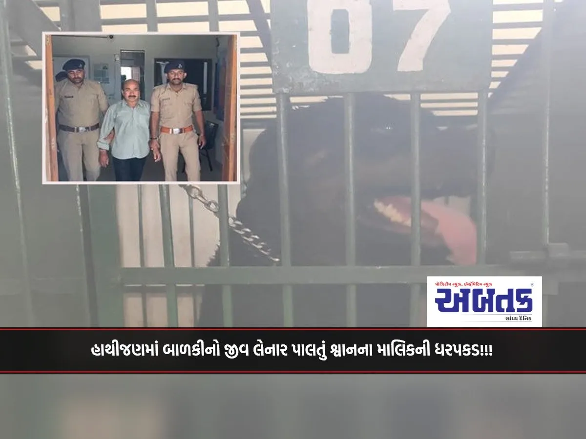 Owner Of Pet Dog That Killed Girl In Hathijan Arrested