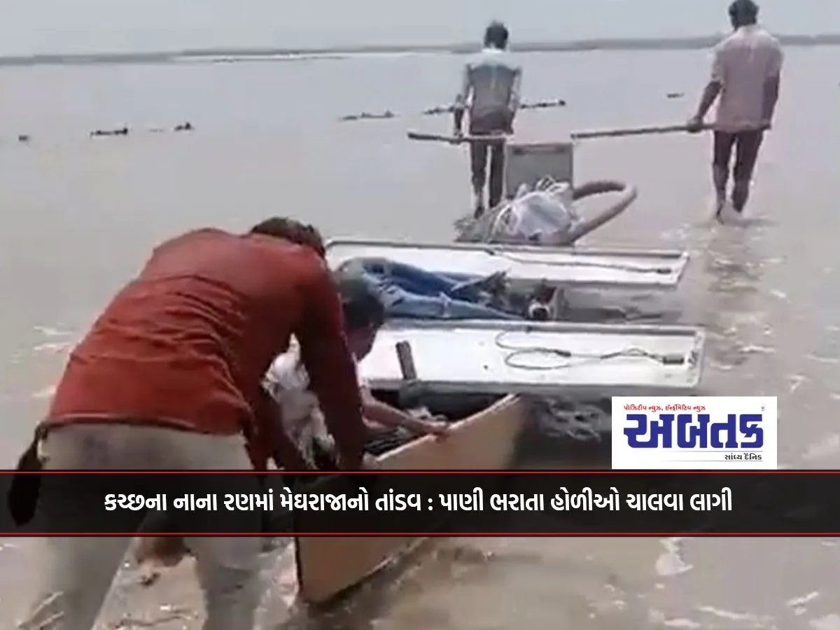Megharaja'S Tandav In The Small Desert Of Kutch: Holi Celebrations Begin As Water Fills Up