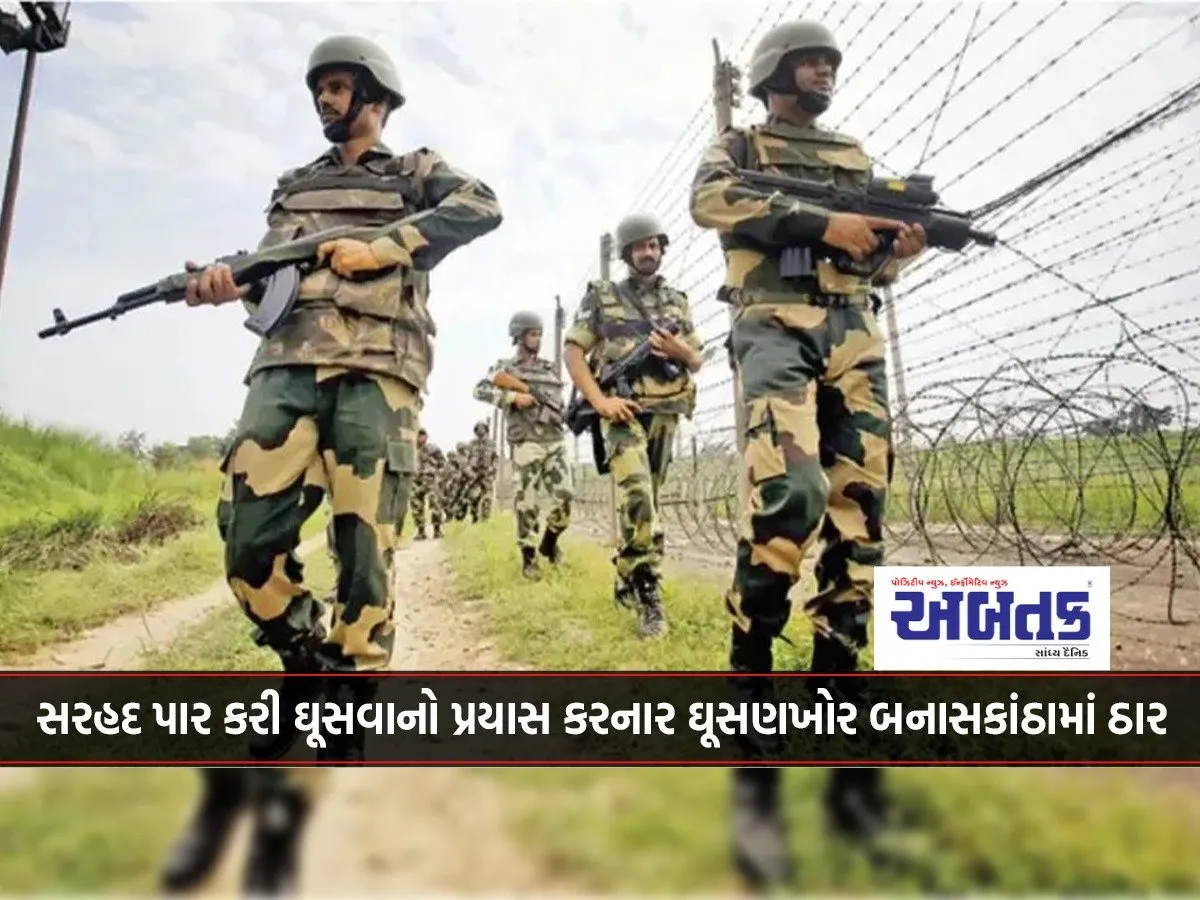 Infiltrator Who Tried To Cross The Border Was Shot Dead In Banaskantha...!
