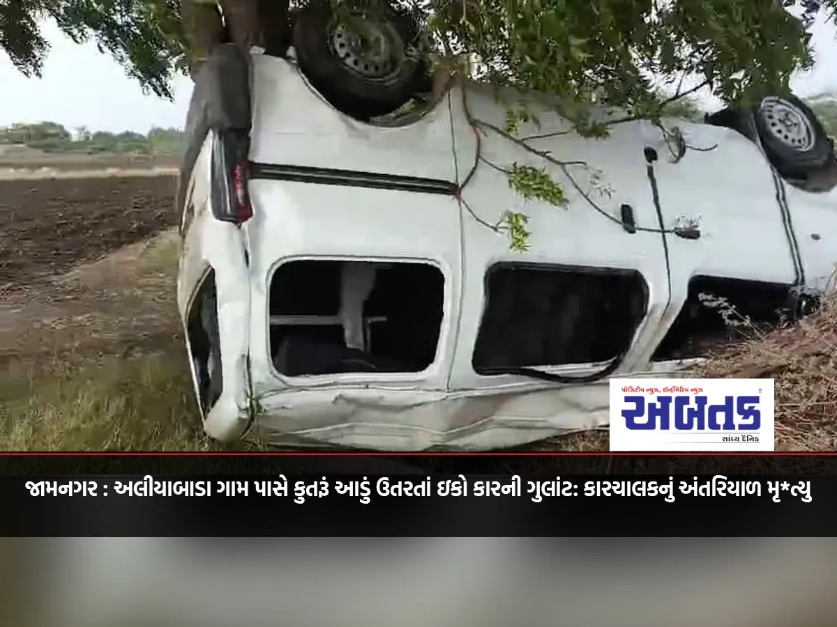 Jamnagar: Eco Car Overturned After Dog Lands In Aliyabada Village: Driver Dies In The Accident