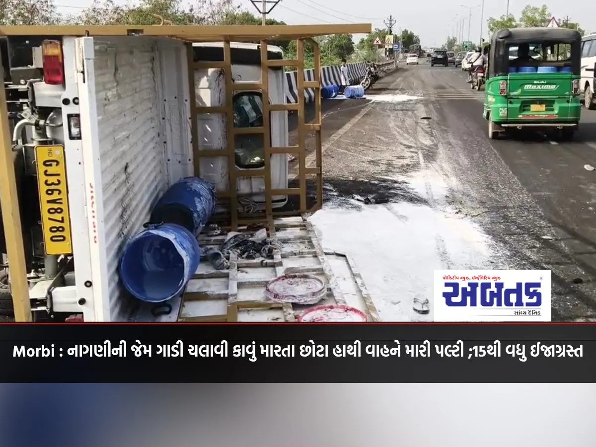 Morbi: A Small Elephant Driving A Car Like A Snake Overturned; More Than 15 Injured