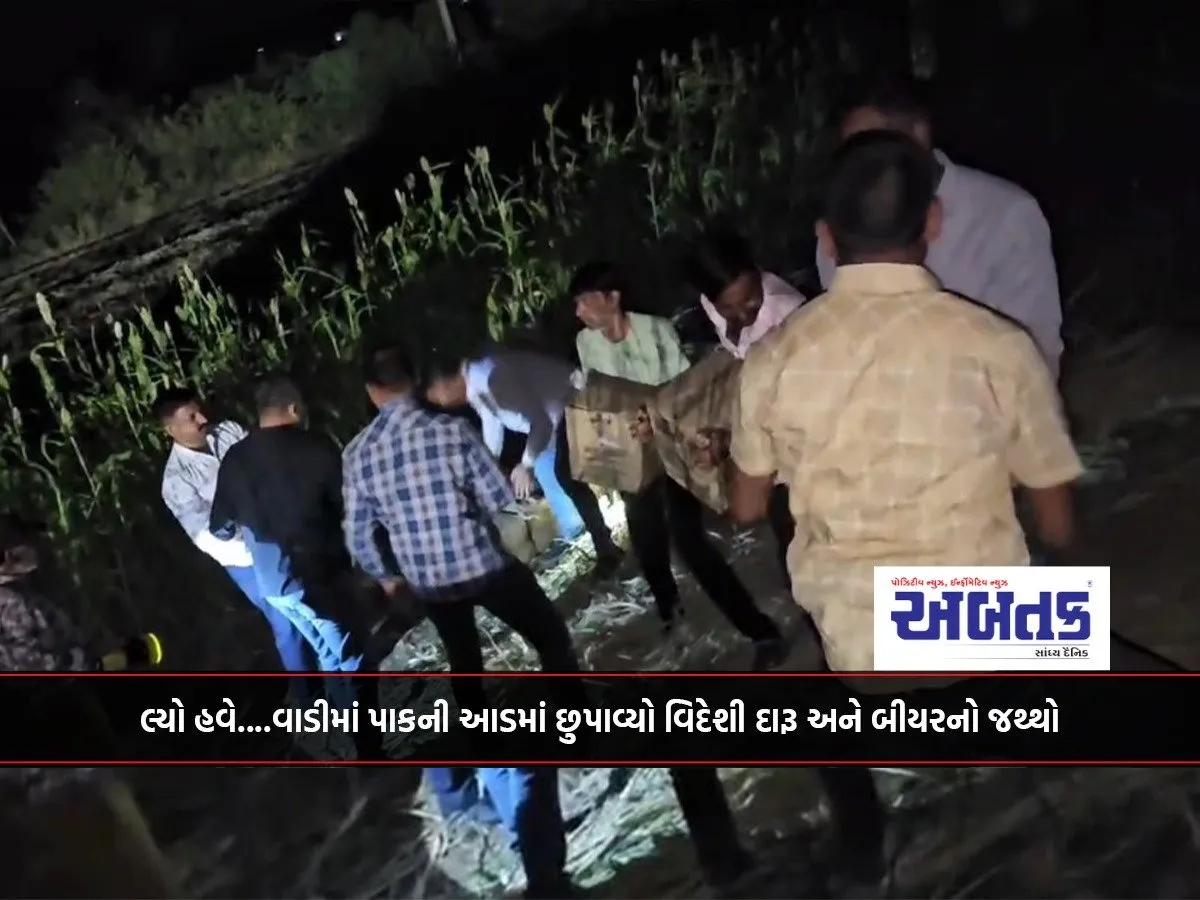 Now....a Quantity Of Foreign Liquor And Beer Hidden Under The Guise Of Crops In The Farm
